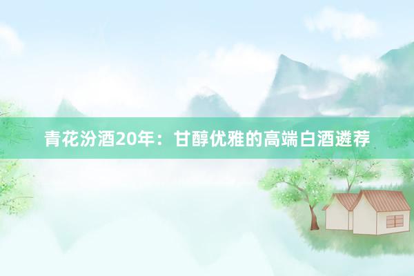 青花汾酒20年：甘醇优雅的高端白酒遴荐