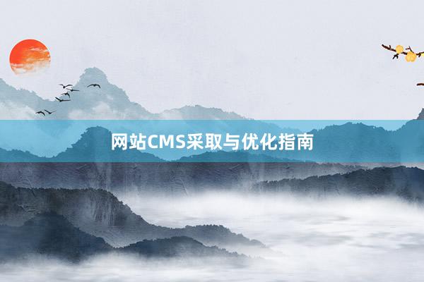 网站CMS采取与优化指南